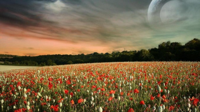 edge浏览器历史记录总是丢失是因为什么原因？有没有什么解决办法？